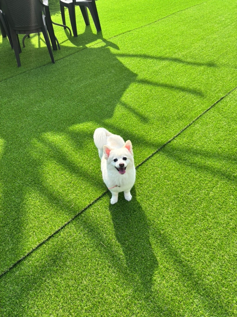 사진 3