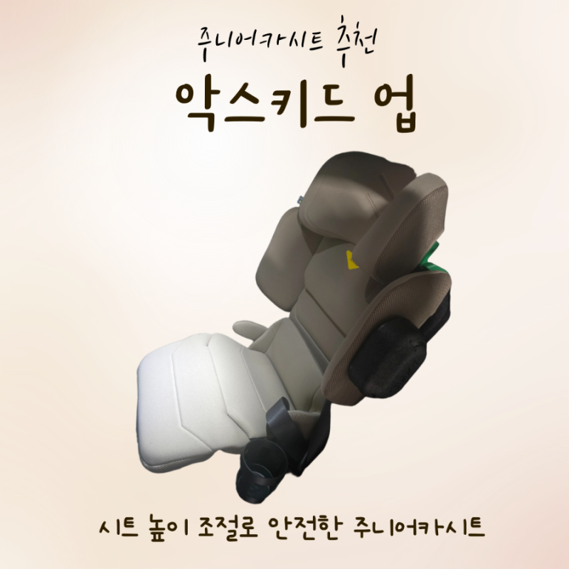 악스키드업 주니어 카시트 3개월 내돈내산 후기(비싸도 선택한 이유)