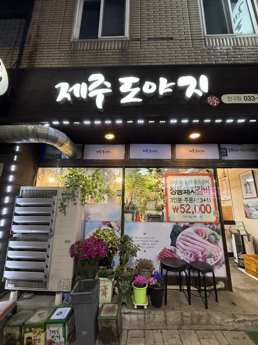 제주도야지 사진 3