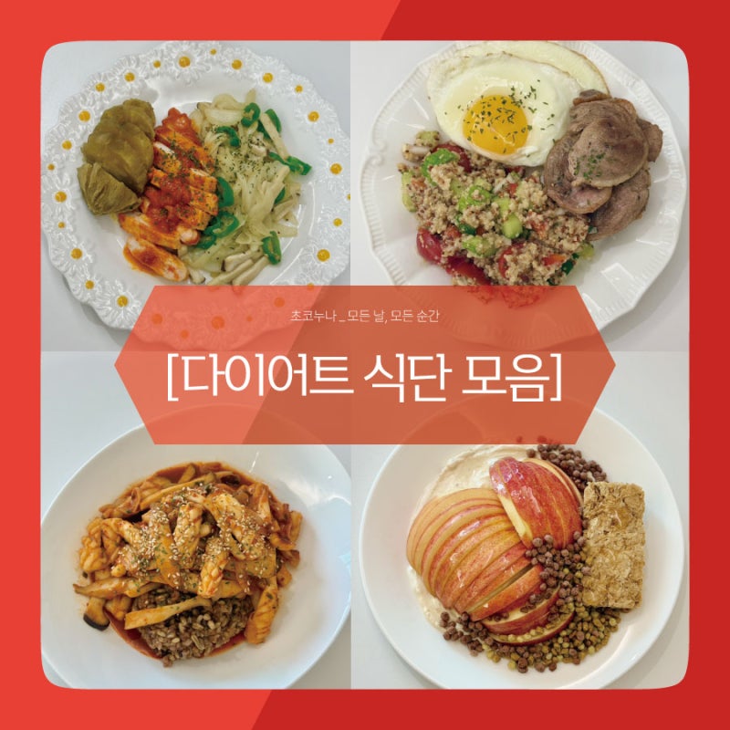 간단한 다이어트 식단 모음 레시피 위트 빅스 쿠스쿠스 닭가슴살 오징어 샐러드 식단템 추천