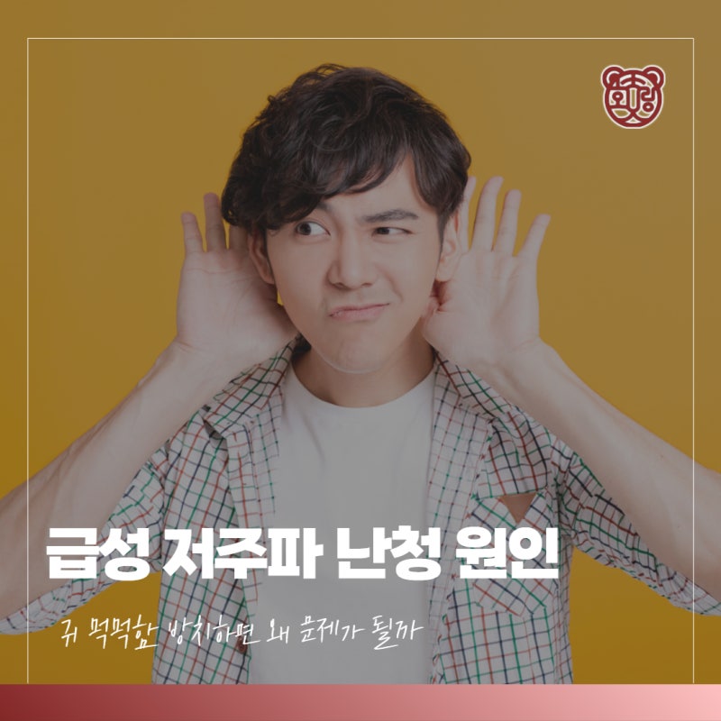 급성 저주파 난청 원인 귀 먹먹함 방치하면 왜 문제가 될까