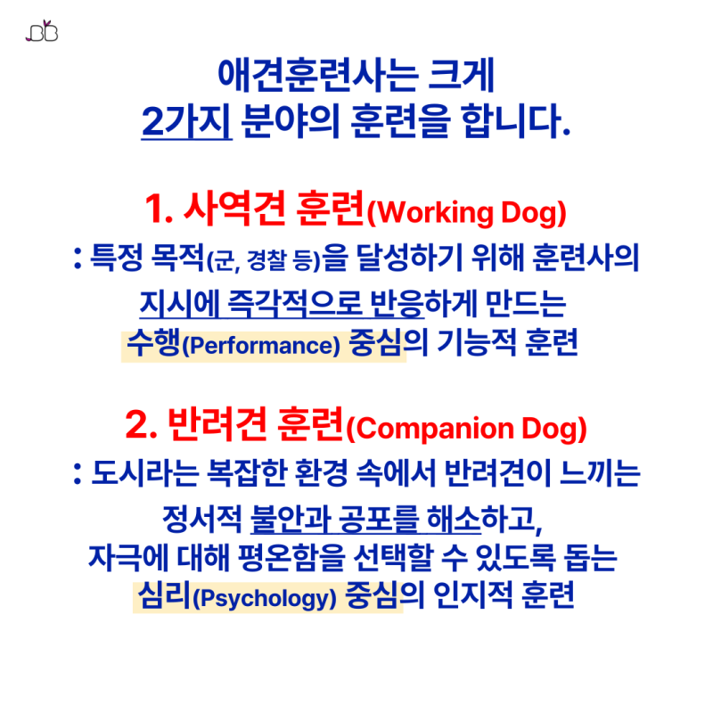 사진 3