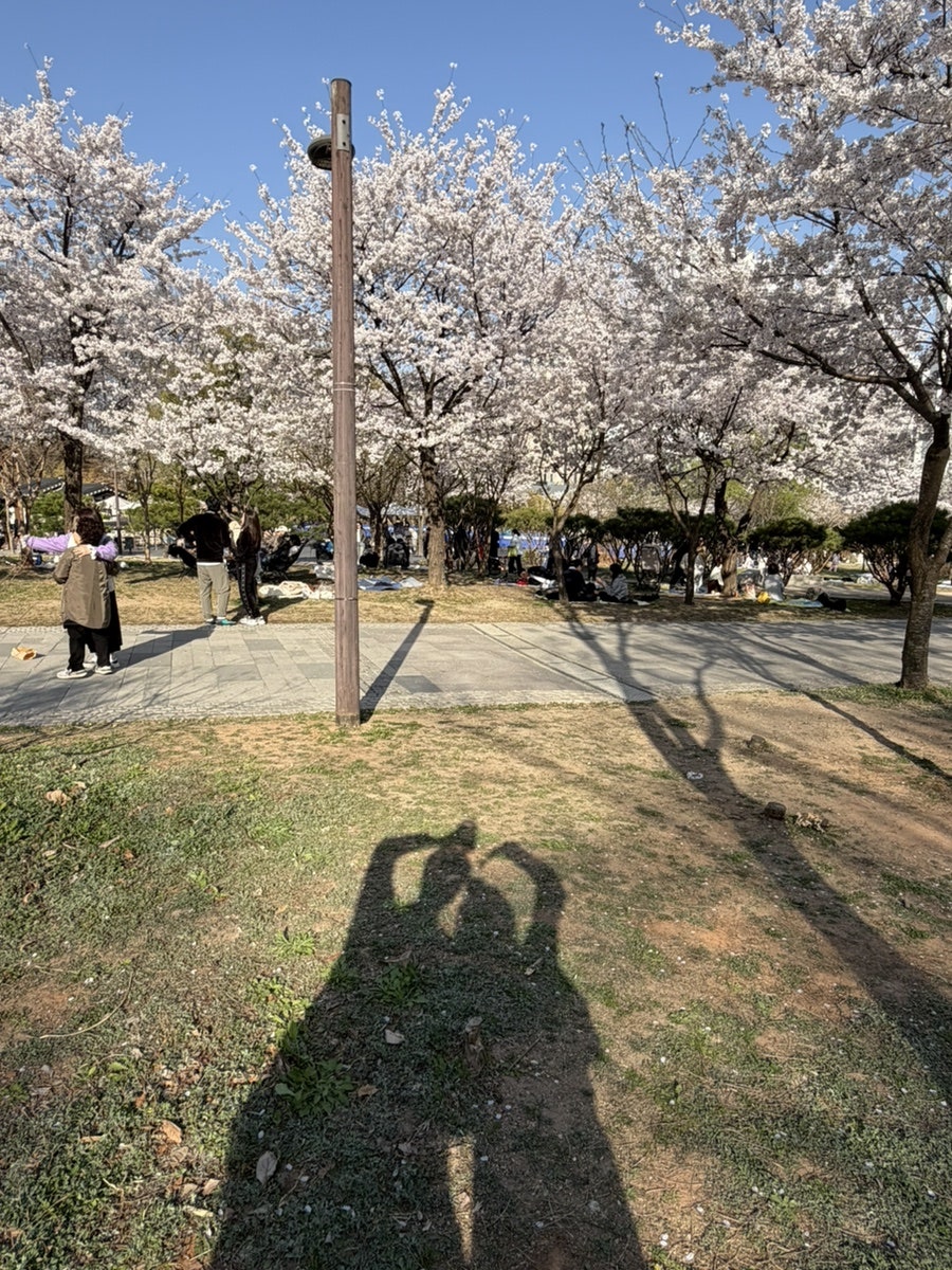 골목안채 사진 2