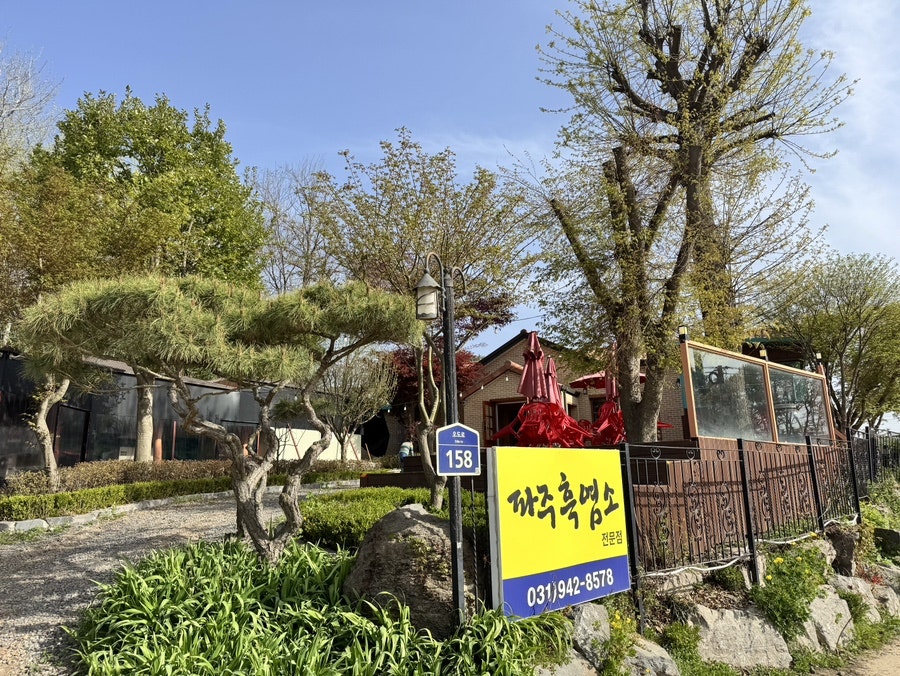 파주능이흑염소 사진 2