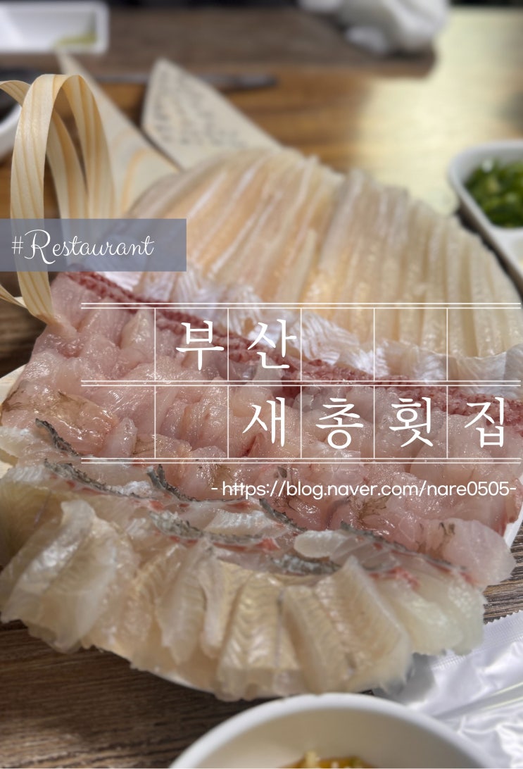  잊지 못해 또간 부산 반여동 자연산 회 전문 맛집 새총횟집