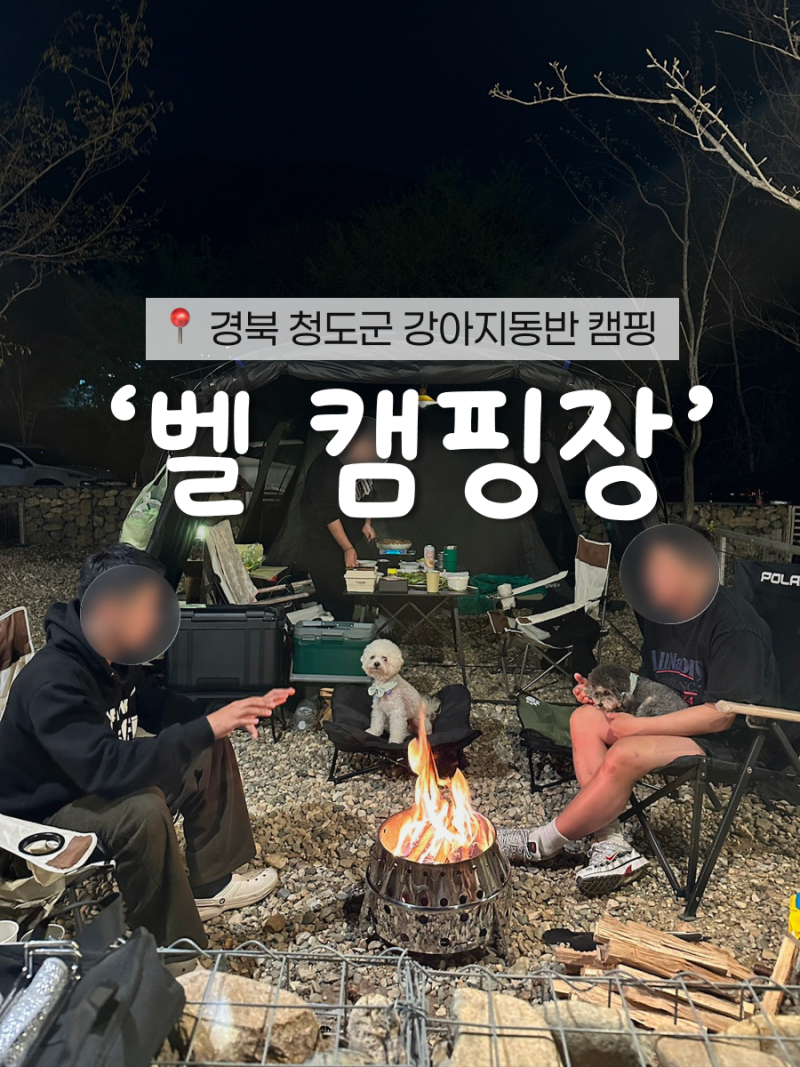 사진 4