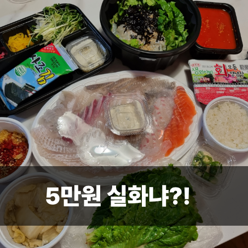  강릉 중앙시장 횟집 파란간판집 강릉 회 포장 가성비 후기