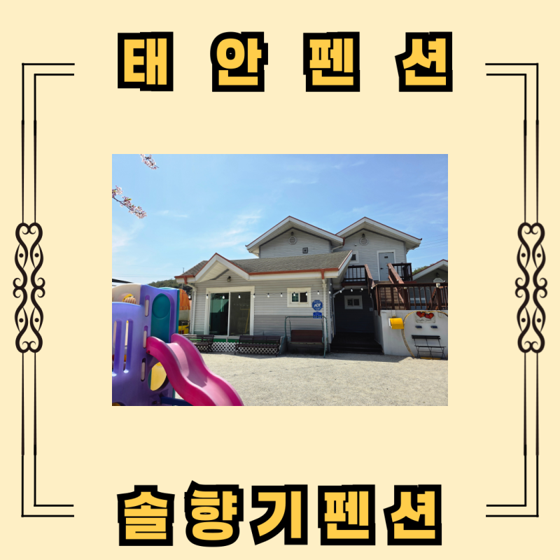 사진 6