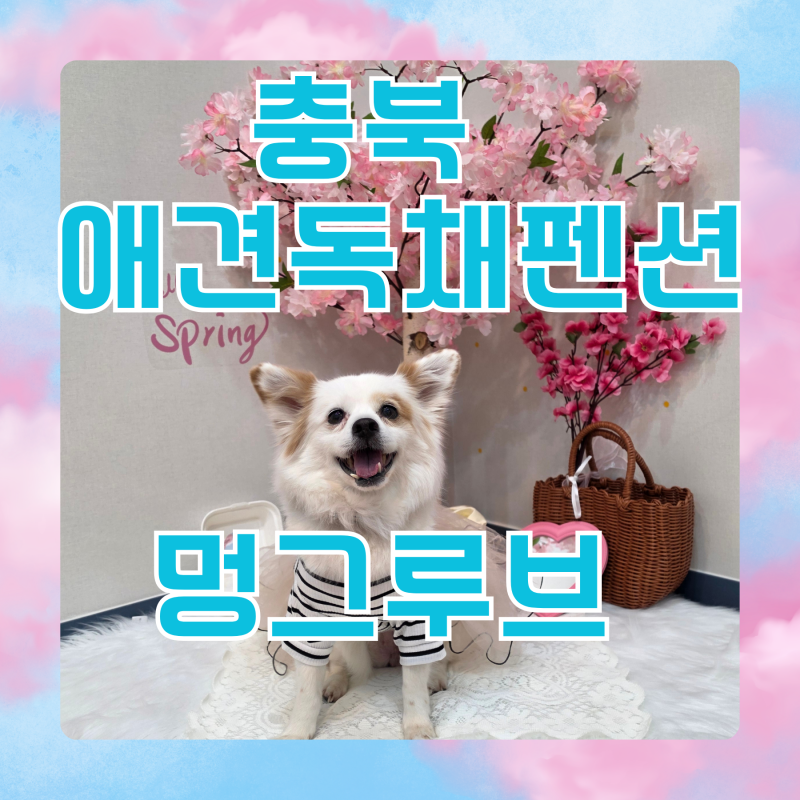 사진 5