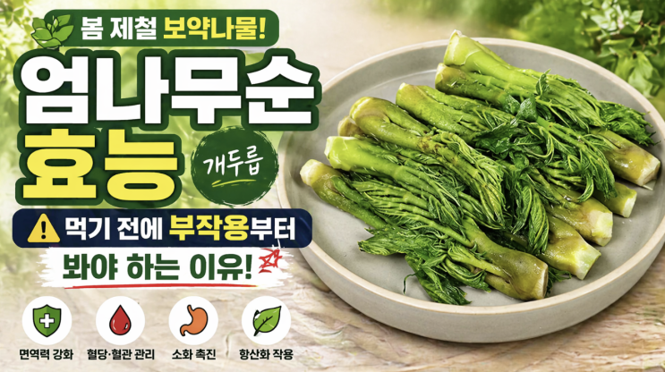  엄나무순 효능, 개두릅 먹기 전에 부작용부터 봐야 하는 이유