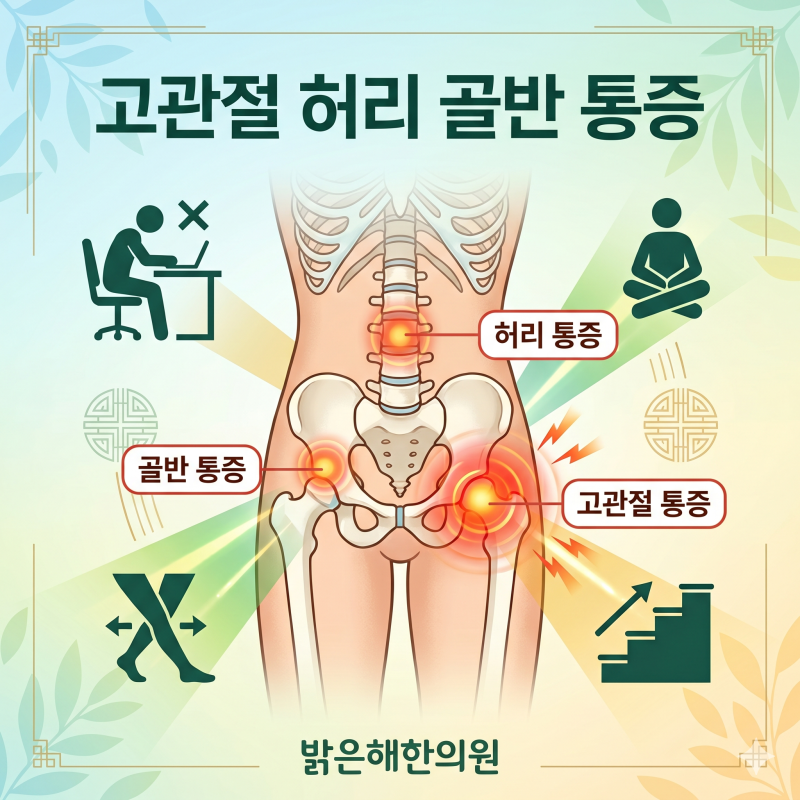 대구 고관절통증 한의원, 허리·골반 통증이 함께 나타나는 이유와 관리 방법