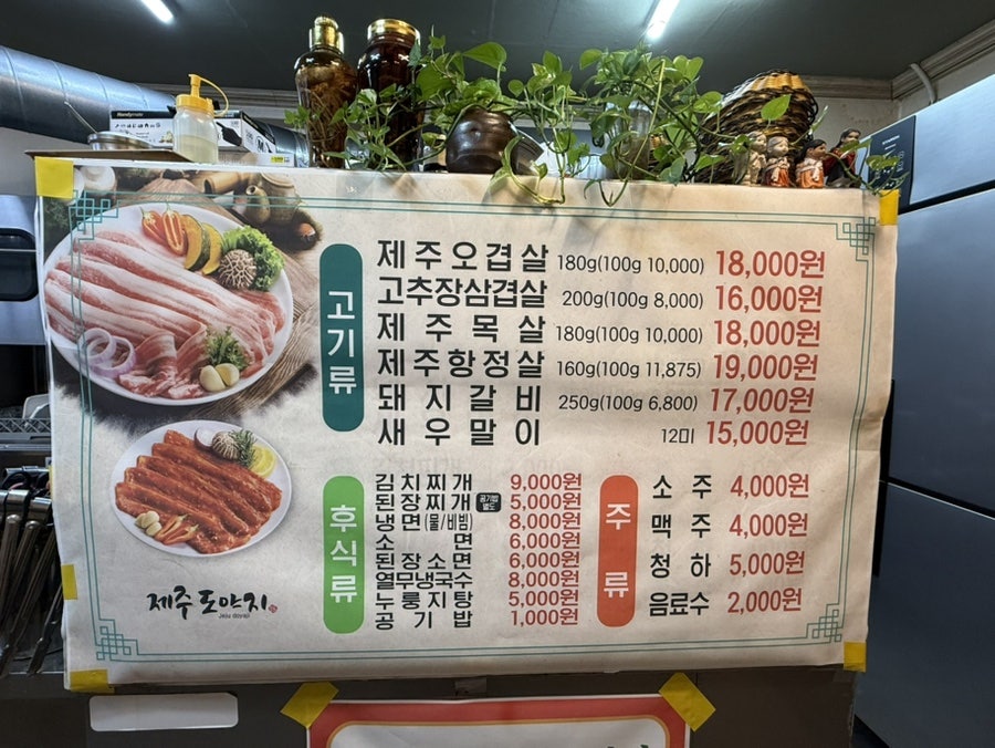 제주도야지 사진 6