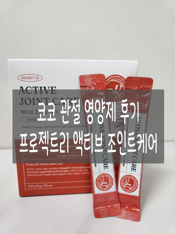  [반려견 영양제] 코코를 위한 동생의 깜짝 선물, 프로젝트21 액티브 조인트케어 후기