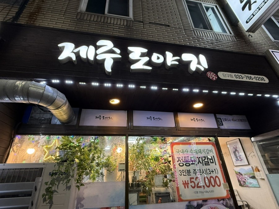 제주도야지 사진 2