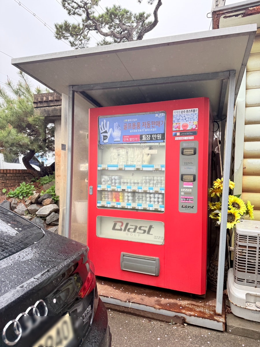 선화식당 사진 4