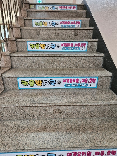사진 3