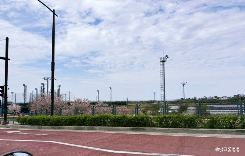 사진 9