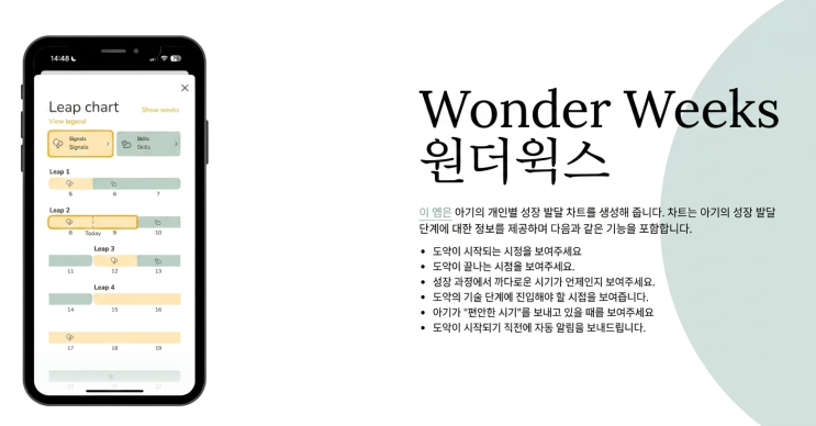  원더윅스 계산기 보는 법, 시기·증상 헷갈릴 때 먼저 체크할 것