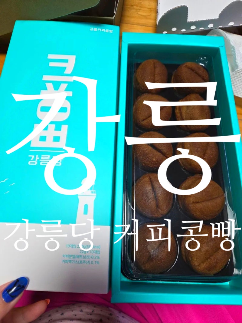 강릉여행 강릉커피콩빵 강릉당 안목해변점 강릉가볼만한곳 안목해변근처맛집 강원도여행