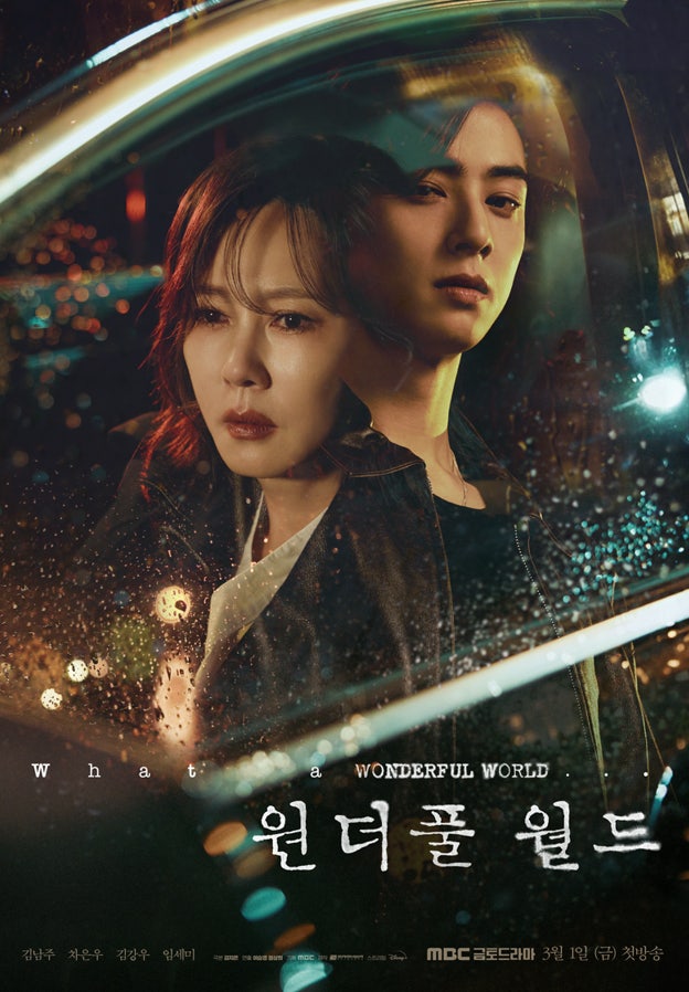 김남주 모성애 폭발 처절한 복수의 서사, 드라마 원더풀 월드 정보 관전포인트
