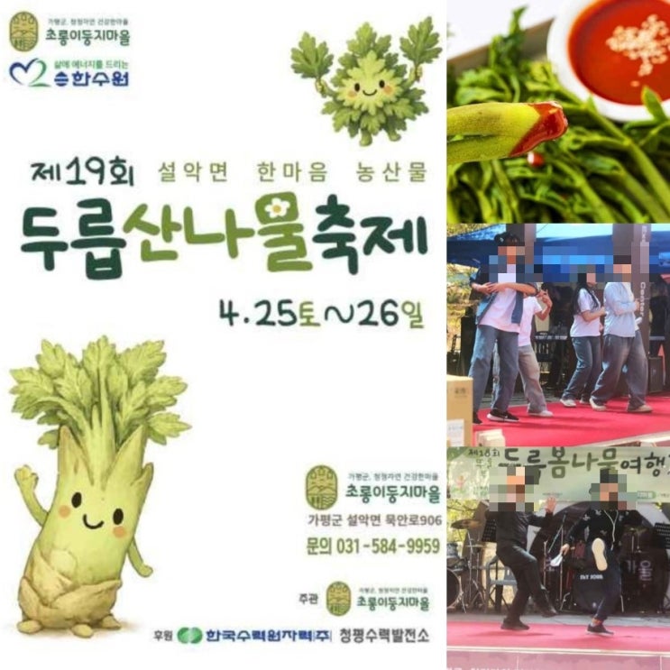  이색 봄축제 추천 가평 두릅산나물축제 두릅봄나물여행
