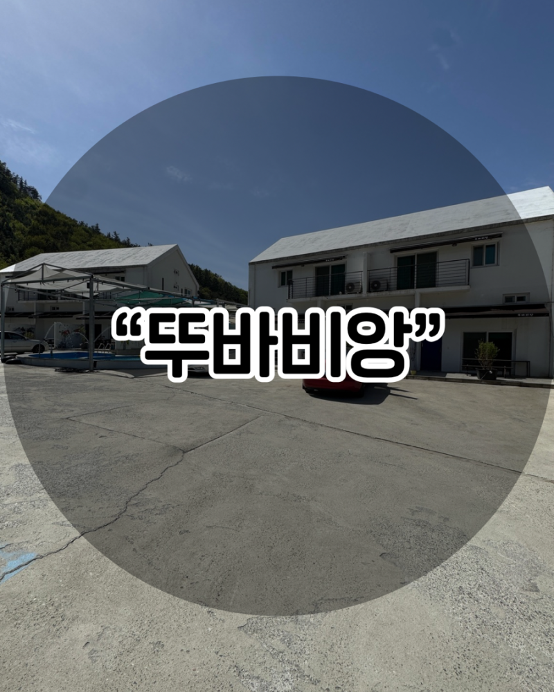 사진 3