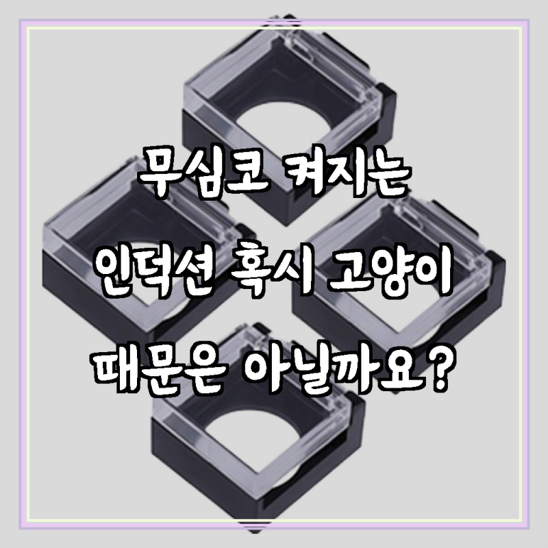 당신의 소중한 인덕션, 고양이의 호기심으로부터 안전하게 지켜내세요!
