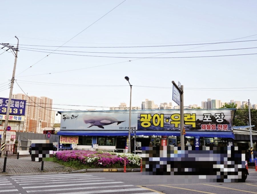 광어9900 사진 1