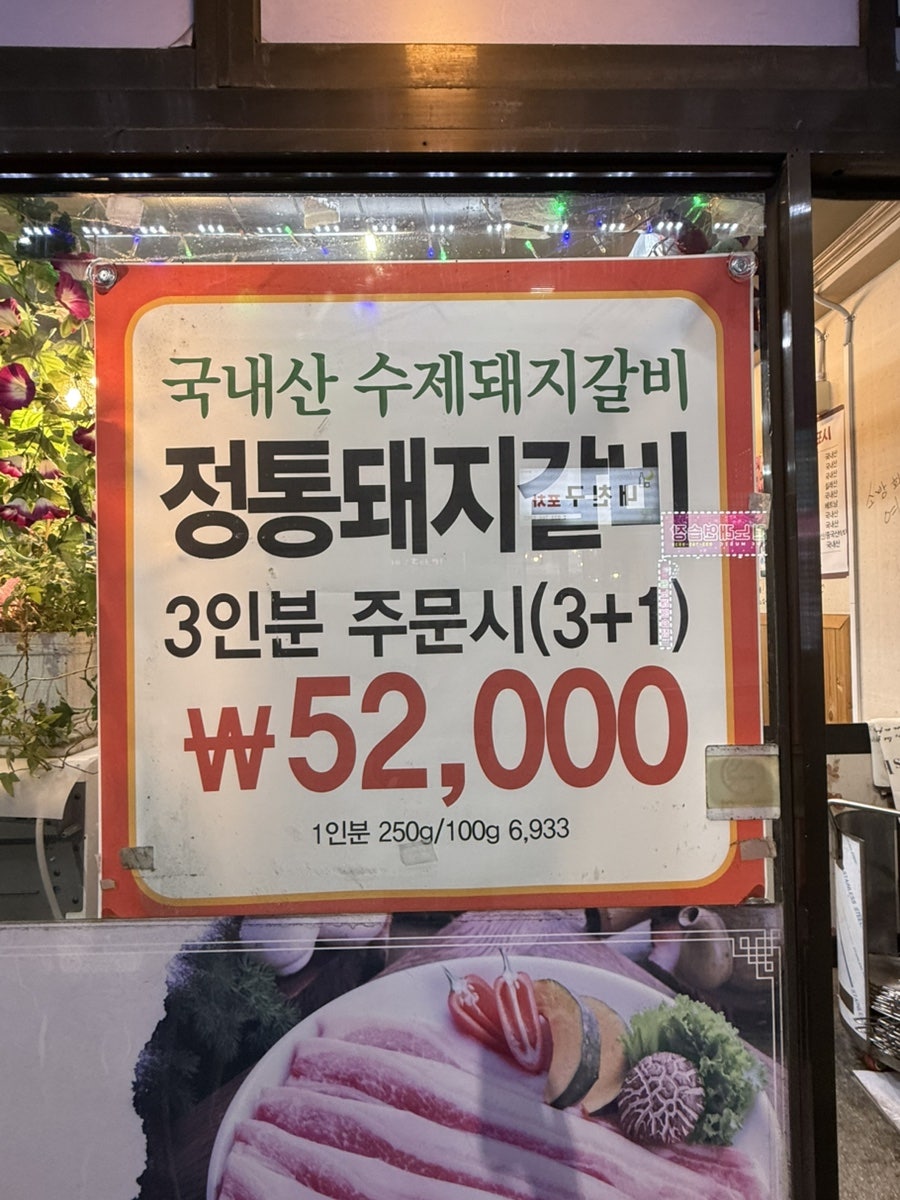 제주도야지 사진 5