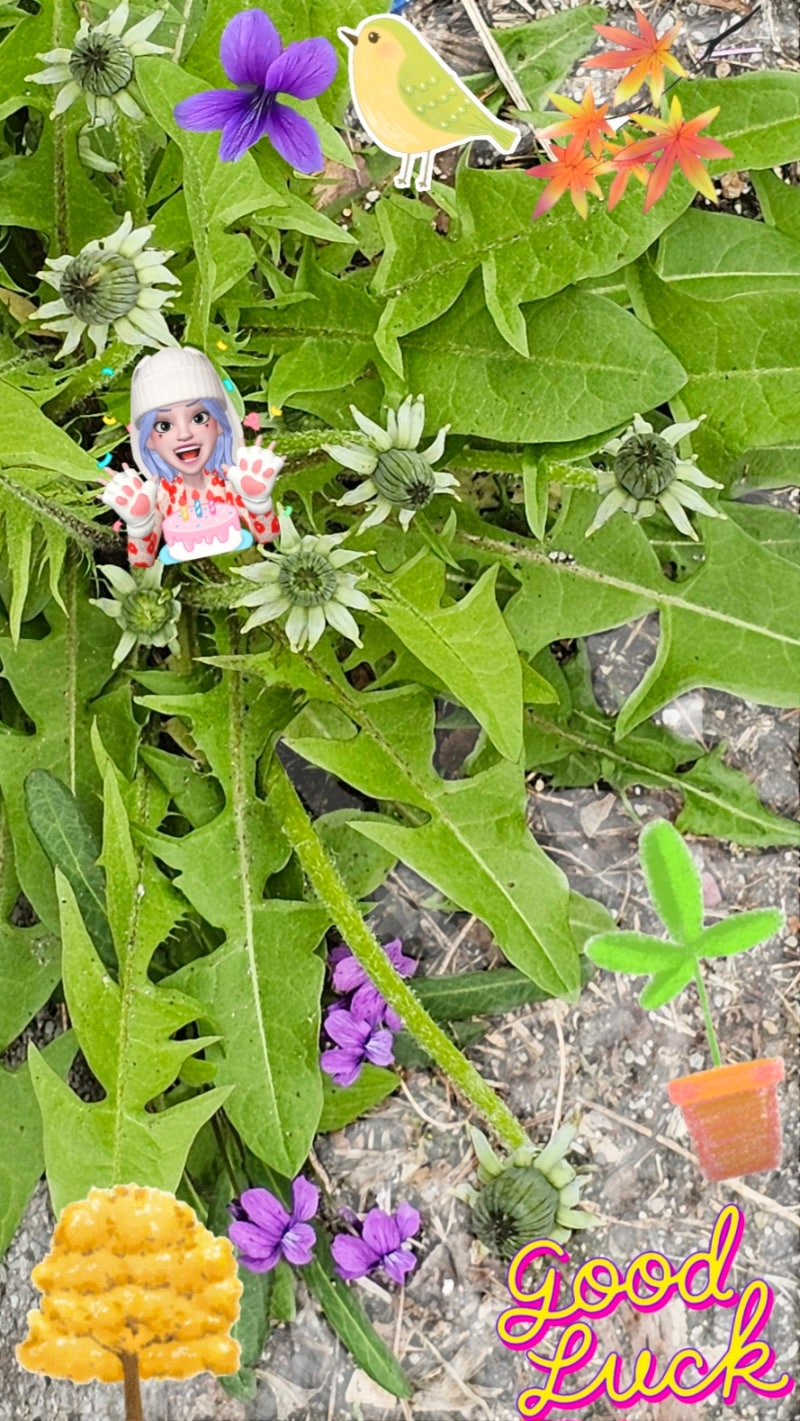 요리공부 (총각무우 김치 지짐이)