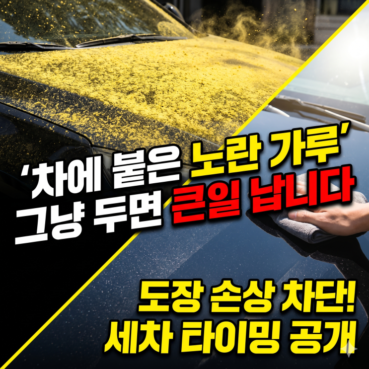  차에 붙은 송화가루, 그냥 두면 큰일 납니다 (세차 타이밍 공개)