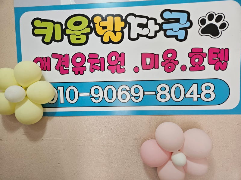 사진 2