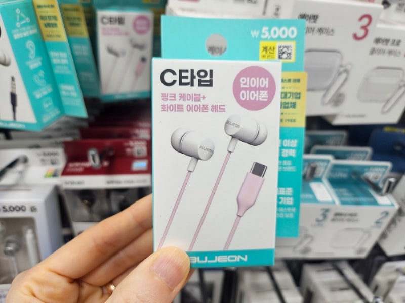 다이소 C타입 이어폰 기대 없이 샀다가 놀란 3가지(ft. 조카)