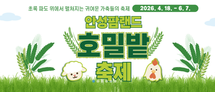  안성 팜랜드 유채꽃·호밀밭, 언제 가야 둘 다 예쁠까