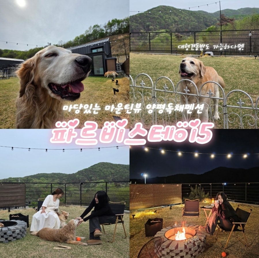 파르비스테이5 사진 2