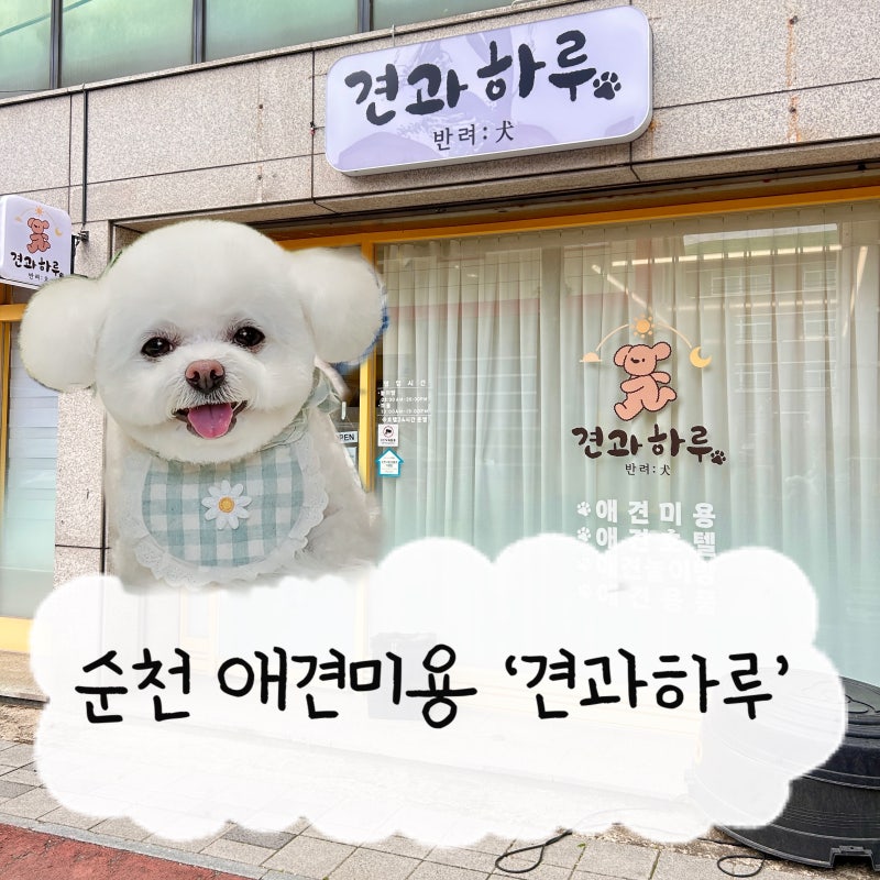견과 하루