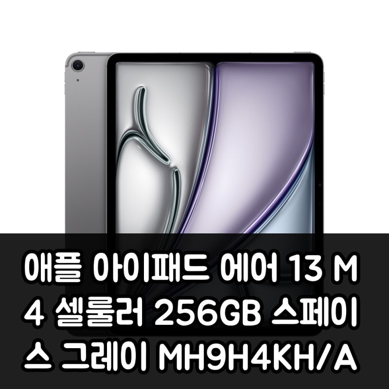 애플 아이패드 에어 13 M4 셀룰러 256GB 스페이스 그레이 MH9H4KH/A 솔직 사용 후기