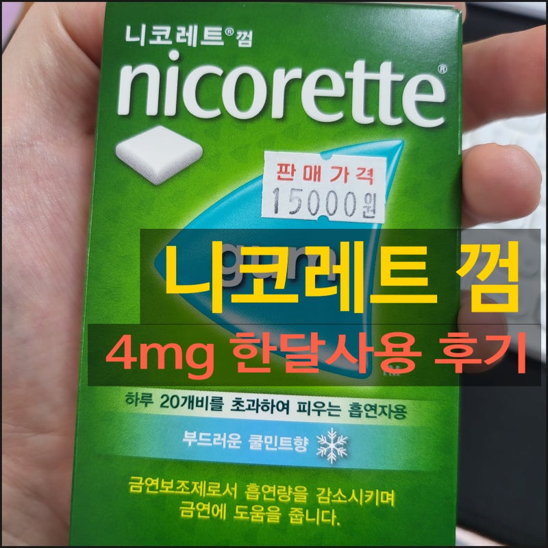 [니코레트 껌] 4mg 약국 가격과 금연보조제 종류 장단점 (내돈내산 사용후기!!)