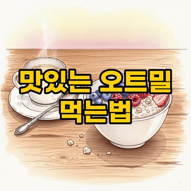 건강한 아침을 위한 오트밀먹는법 퀵오트밀 먹는법 다이어트 활용기