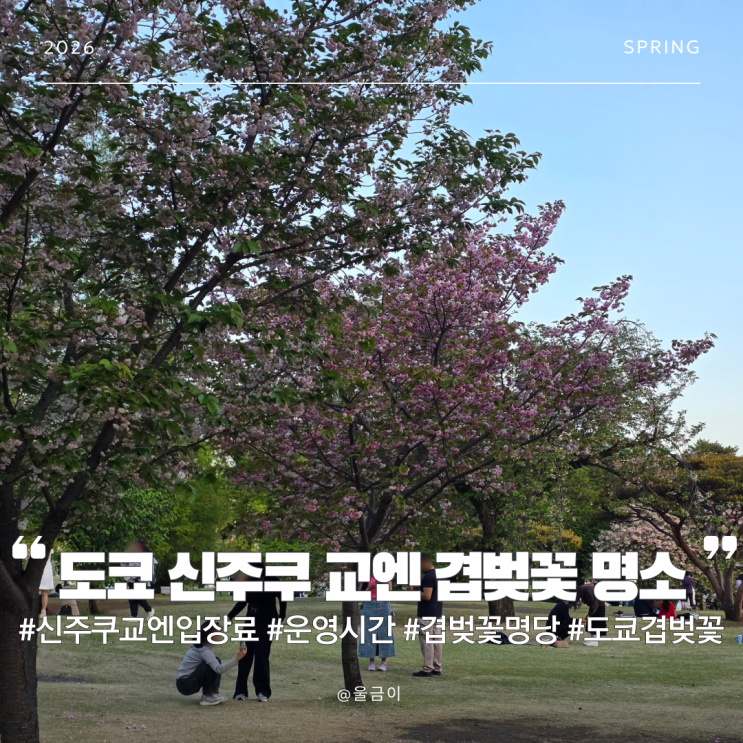  도쿄 여행 4월 필수 코스 신주쿠 교엔 겹벚꽃 명소 입장료부터 명당 위치까지 총정리