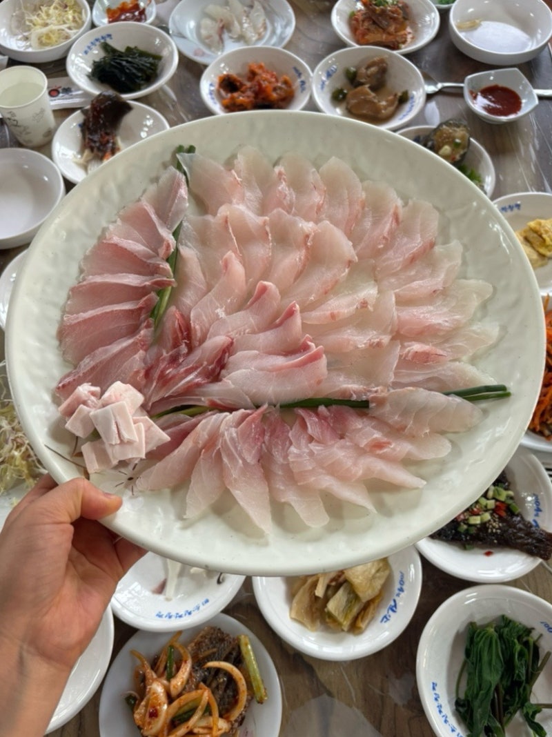 [섬마을횟집]신안가볼만한곳 신안횟집 여름제철 민어회 코스요리 즐겨요~
