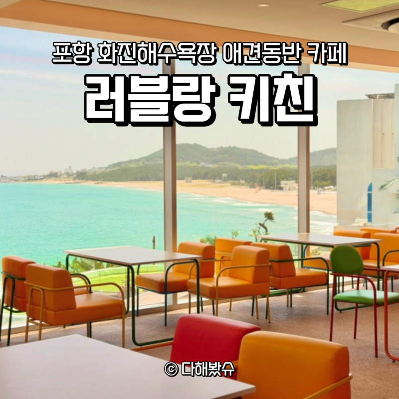 사진 5