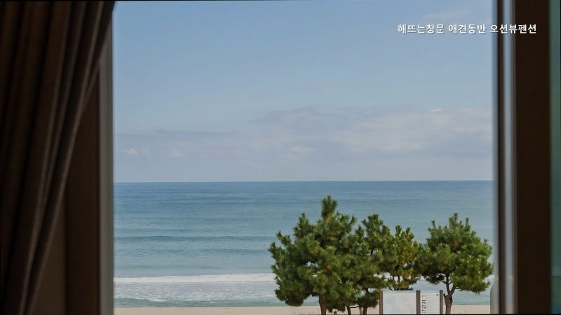 사진 2