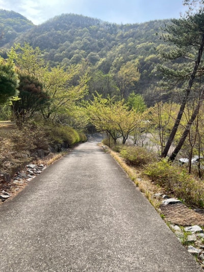사진 5