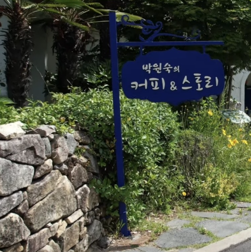 돈 벌려고 온 게 아닌데.. 박원숙 남해 정착 7년 만에 일궈낸 반전 성공의 실체