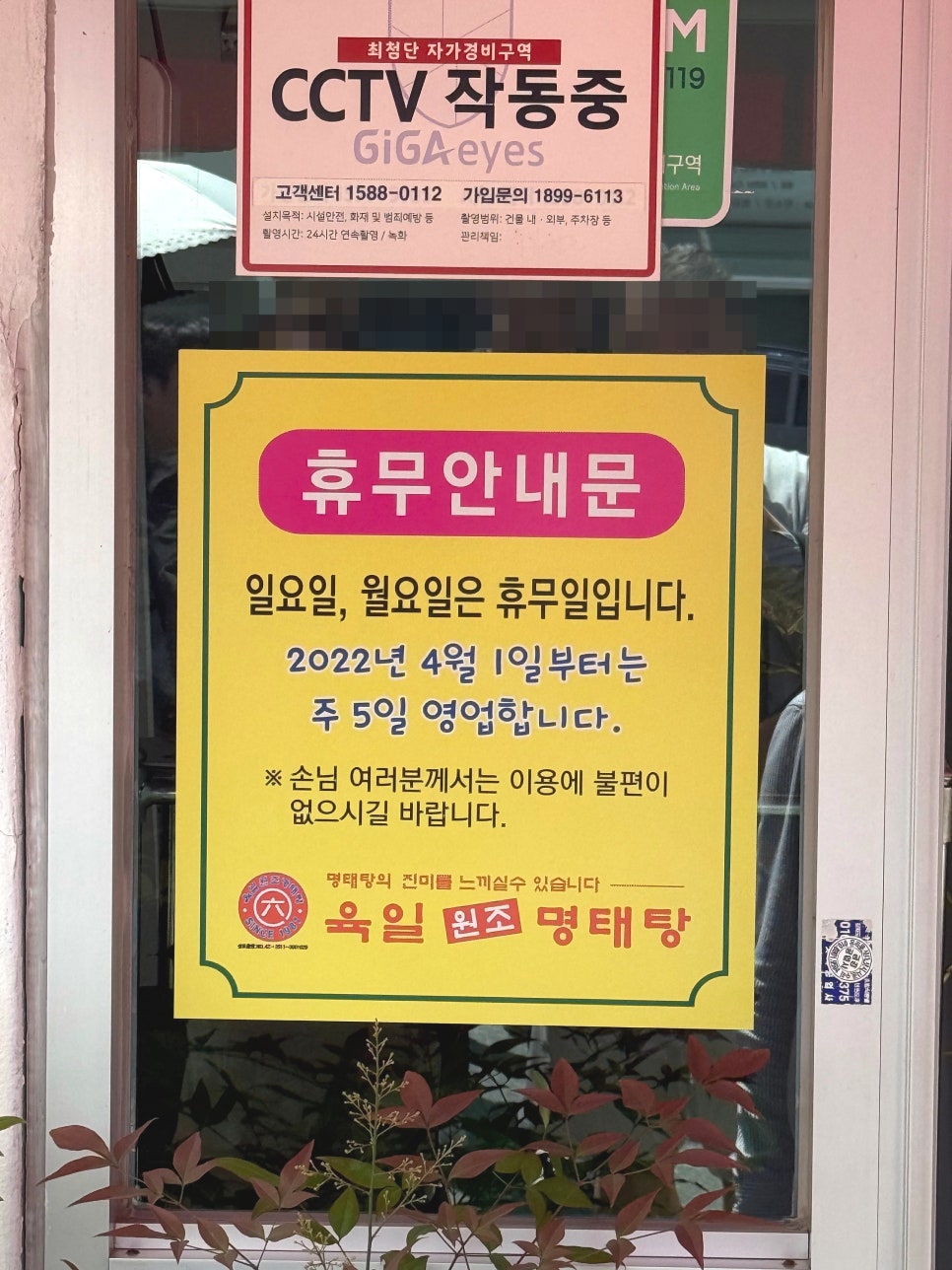 육일원조명태탕 사진 5