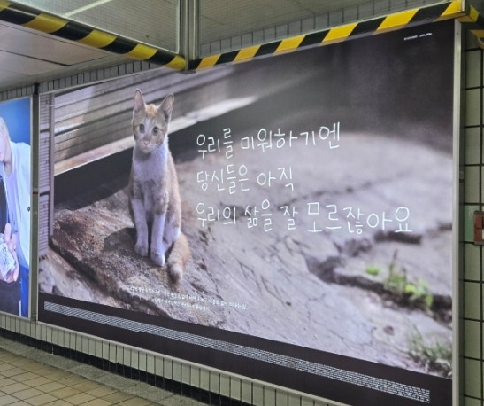  [260413,17] 복싱 21,22회 (복싱화구입, 헌터헌터입덕)