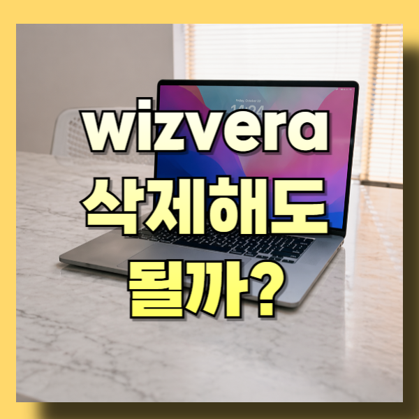 wizvera 정체는? 삭제해도 될까?