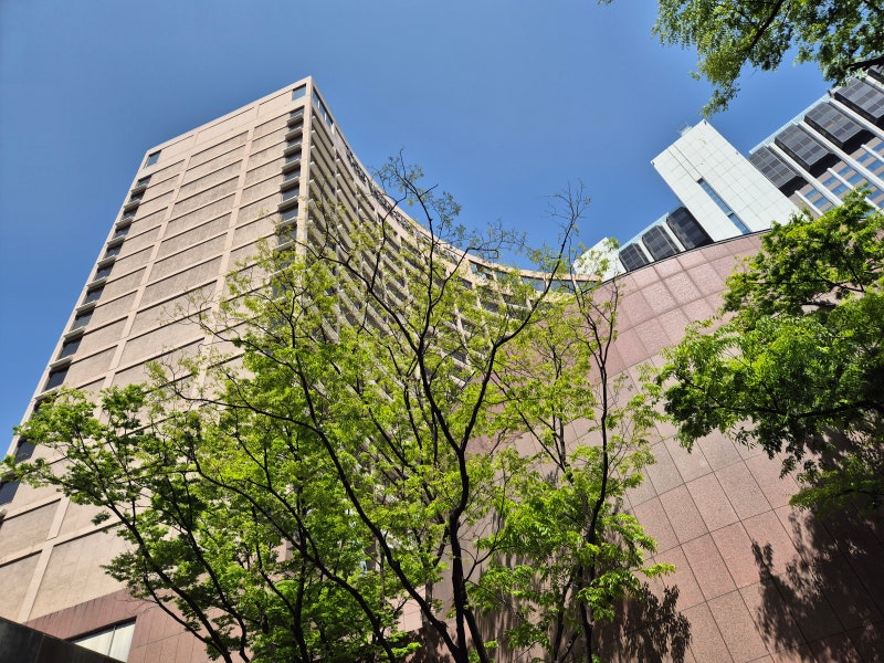 사진 8
