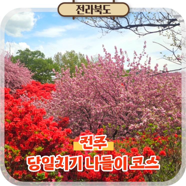  전주 당일치기 여행 가볼만한곳, 완산칠봉꽃동산 포함 하루 코스